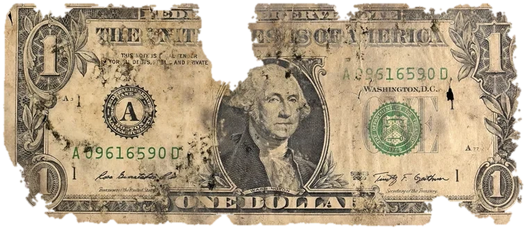 Decayed $1 bill, specimen FF-A09616590D, serial A09616590D, dirt / soil 13%, black mold 10%, water staining 9%, material loss 22%