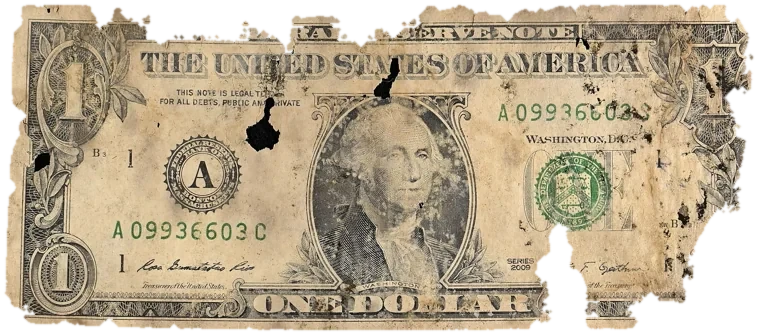 Decayed $1 bill, specimen FF-A09936603C, serial A09936603C, dirt / soil 12%, black mold 10%, water staining 7%, material loss 24%