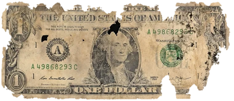 Decayed $1 bill, specimen FF-A49868293C, serial A49868293C, dirt / soil 12%, water staining 8%, black mold 8%, material loss 24%