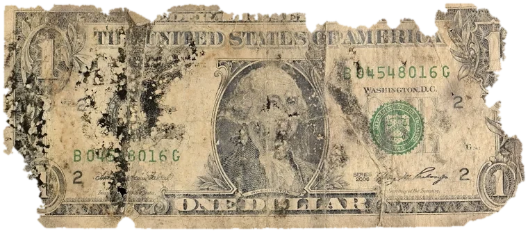 Decayed $1 bill, specimen FF-B04548016G, serial B04548016G, water staining 30%, dirt / soil 16%, black mold 15%, material loss 24%