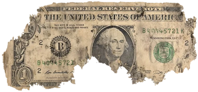 Decayed $1 bill, specimen FF-B40445721K, serial B40445721K, dirt / soil 14%, black mold 13%, water staining 10%, material loss 37%