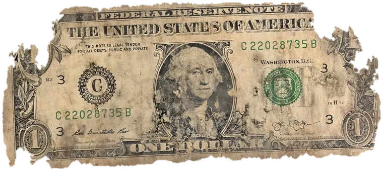 Decayed $1 bill, specimen FF-C22028735B, serial C22028735B, water staining 20%, dirt / soil 13%, black mold 11%, material loss 23%