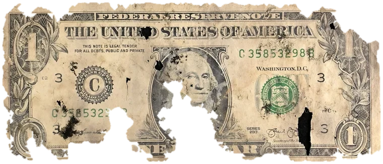 Decayed $1 bill, specimen FF-C35853298B, serial C35853298B, water staining 21%, dirt / soil 10%, black mold 10%, material loss 25%