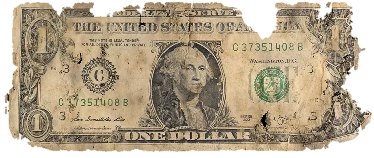 Decayed $1 bill, specimen FF-C37351408B, serial C37351408B, dirt / soil 14%, black mold 14%, water staining 11%, material loss 17%