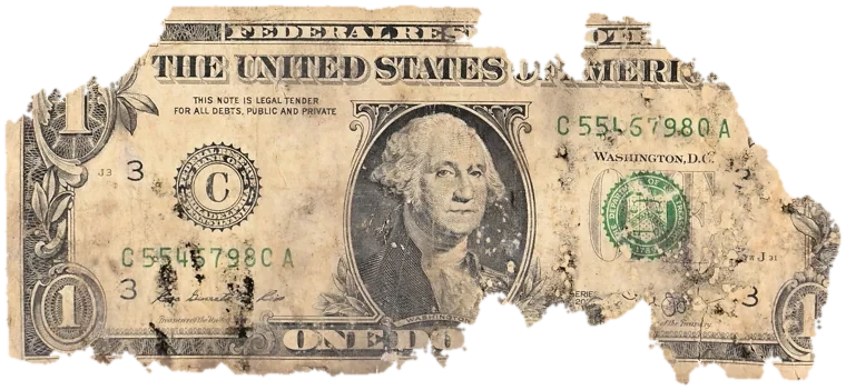Decayed $1 bill, specimen FF-C55457980A, serial C55457980A, dirt / soil 11%, water staining 10%, black mold 10%, material loss 30%