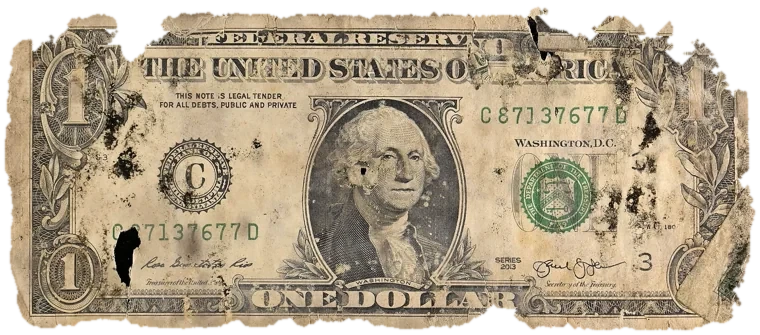 Decayed $1 bill, specimen FF-C87137677D, serial C87137677D, dirt / soil 12%, black mold 9%, iron oxide 2%, material loss 17%