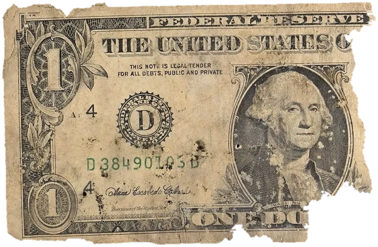 Decayed $1 bill, specimen FF-D38490103D, serial D38490103D, dirt / soil 14%, water staining 10%, black mold 9%, material loss 48%