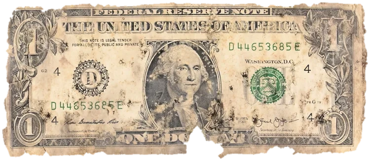 Decayed $1 bill, specimen FF-D44653685E, serial D44653685E, dirt / soil 16%, water staining 8%, black mold 8%, material loss 12%