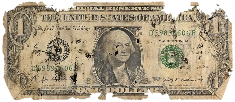 Decayed $1 bill, specimen FF-D59896606B, serial D59896606B, dirt / soil 12%, black mold 12%, water staining 8%, material loss 21%