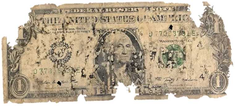 Decayed $1 bill, specimen FF-D77388731E, serial D77388731E, water staining 35%, dirt / soil 14%, black mold 14%, material loss 22%