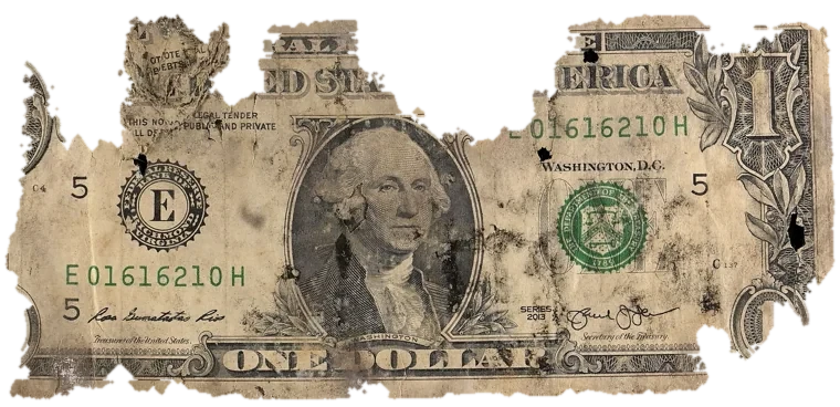 Decayed $1 bill, specimen FF-E01616210H, serial E01616210H, water staining 15%, black mold 15%, dirt / soil 14%, material loss 31%