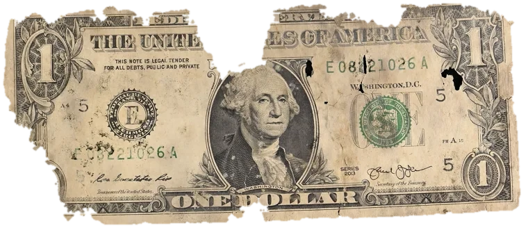 Decayed $1 bill, specimen FF-E08221026A, serial E08221026A, dirt / soil 12%, black mold 12%, water staining 5%, material loss 23%