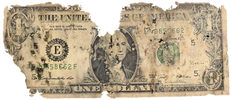 Decayed $1 bill, specimen FF-E40858662F, serial E40858662F, dirt / soil 12%, black mold 10%, water staining 9%, material loss 24%