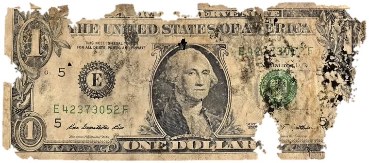 Decayed $1 bill, specimen FF-E42373052F, serial E42373052F, black mold 14%, dirt / soil 13%, iron oxide 5%, material loss 24%
