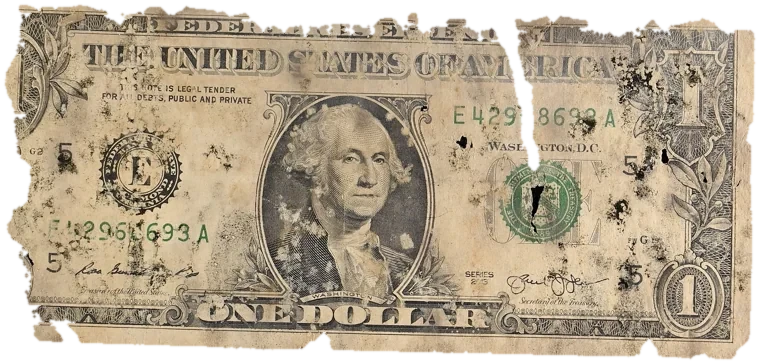 Decayed $1 bill, specimen FF-E42968693A, serial E42968693A, water staining 24%, black mold 12%, dirt / soil 10%, material loss 24%