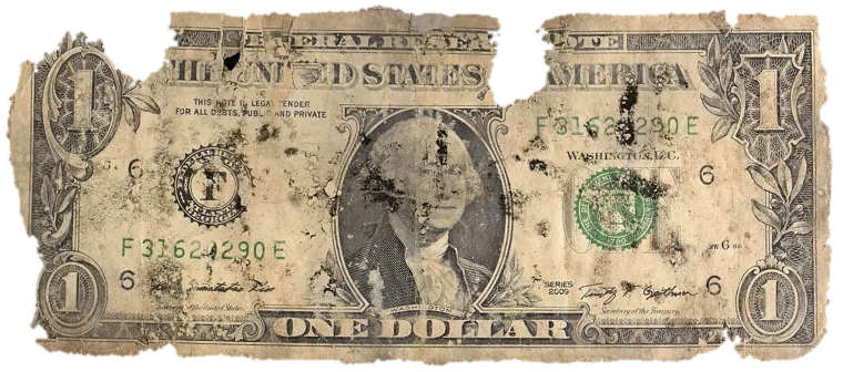 Decayed $1 bill, specimen FF-F31620290E, serial F31620290E, water staining 17%, dirt / soil 16%, black mold 16%, material loss 17%