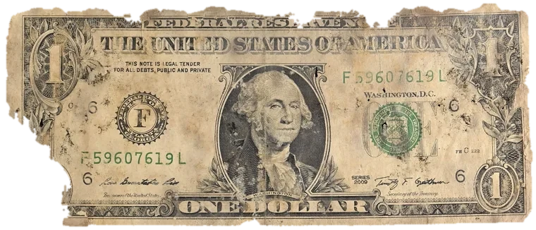 Decayed $1 bill, specimen FF-F59607619L, serial F59607619L, dirt / soil 12%, black mold 10%, water staining 8%, material loss 19%