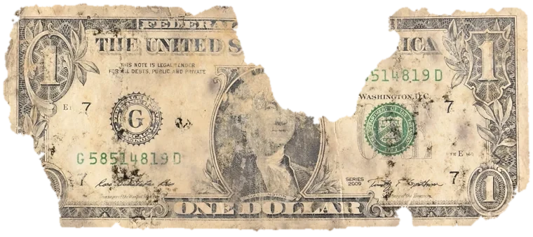 Decayed $1 bill, specimen FF-G58514819D, serial G58514819D, water staining 10%, dirt / soil 10%, black mold 10%, material loss 25%