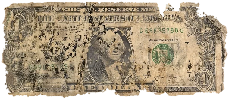 Decayed $1 bill, specimen FF-G69835788G, serial G69835788G, black mold 22%, water staining 19%, dirt / soil 16%, material loss 18%