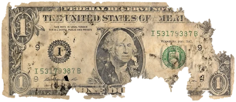 Decayed $1 bill, specimen FF-I53179387B, serial I53179387B, dirt / soil 10%, black mold 10%, water staining 5%, material loss 26%