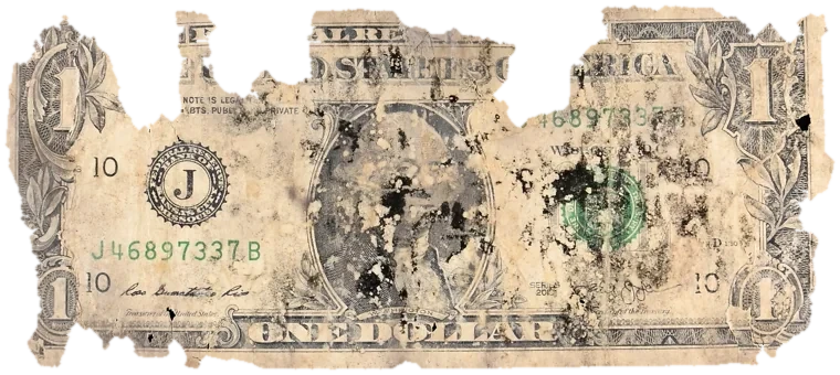 Decayed $1 bill, specimen FF-J46897337B, serial J46897337B, water staining 20%, black mold 20%, dirt / soil 10%, material loss 25%