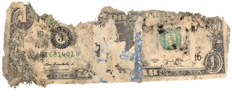 Decayed $1 bill, specimen FF-J51681401B, serial J51681401B, dirt / soil 13%, black mold 13%, water staining 9%, material loss 35%
