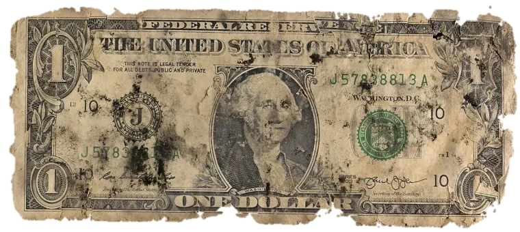 Decayed $1 bill, specimen FF-J57838813A, serial J57838813A, dirt / soil 16%, black mold 15%, water staining 12%, material loss 14%