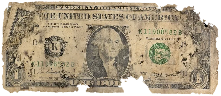 Decayed $1 bill, specimen FF-K11908582B, serial K11908582B, dirt / soil 16%, black mold 9%, water staining 6%, material loss 17%