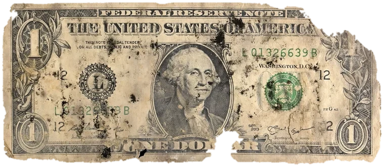 Decayed $1 bill, specimen FF-L01326639B, serial L01326639B, water staining 13%, black mold 10%, dirt / soil 9%, material loss 18%