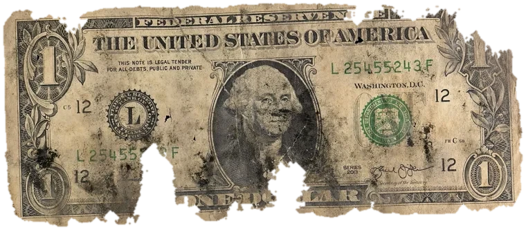 Decayed $1 bill, specimen FF-L25455243F, serial L25455243F, black mold 25%, water staining 15%, dirt / soil 15%, material loss 20%