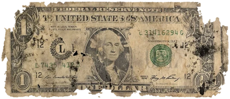 Decayed $1 bill, specimen FF-L31416294G, serial L31416294G, water staining 30%, black mold 24%, dirt / soil 18%, material loss 18%