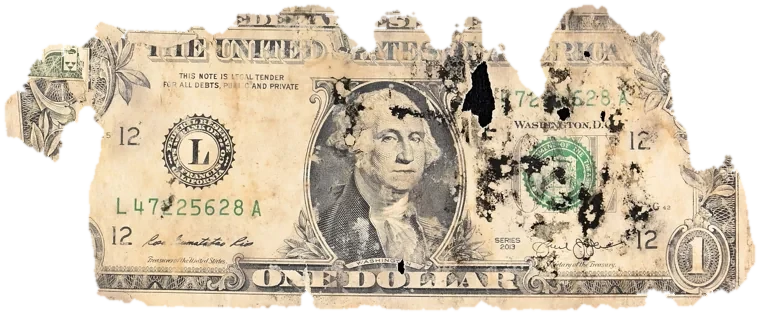 Decayed $1 bill, specimen FF-L47225628A, serial L47225628A, dirt / soil 8%, black mold 8%, water staining 4%, material loss 28%
