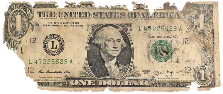 Decayed $1 bill, specimen FF-L47225629A, serial L47225629A, dirt / soil 10%, water staining 8%, black mold 8%, material loss 22%