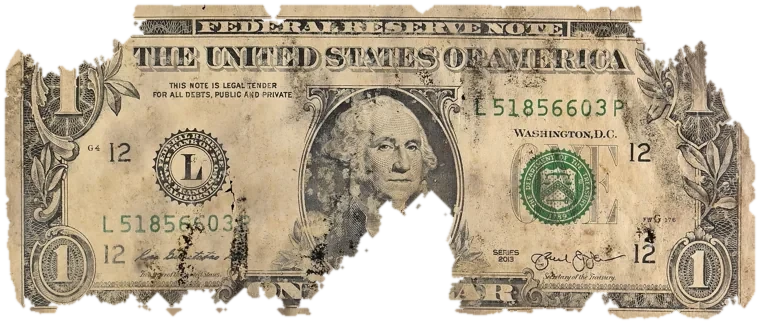 Decayed $1 bill, specimen FF-L51856603P, serial L51856603P, water staining 16%, dirt / soil 12%, black mold 10%, material loss 25%