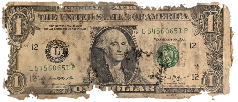 Decayed $1 bill, specimen FF-L54560651P, serial L54560651P, dirt / soil 18%, black mold 13%, water staining 5%, material loss 17%