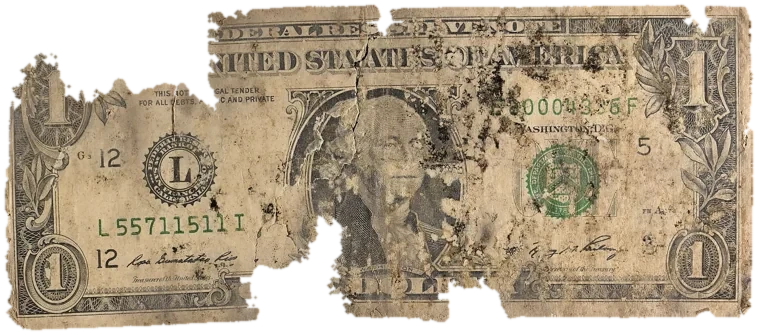 Decayed $1 bill, specimen FF-L55711511I, serial L55711511I, water staining 28%, dirt / soil 26%, black mold 12%, material loss 19%