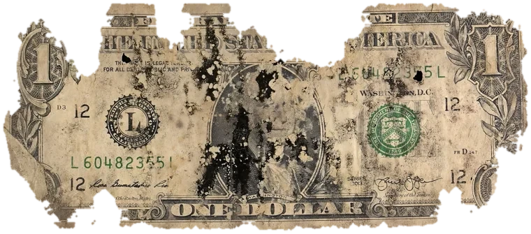Decayed $1 bill, specimen FF-L60482355L, serial L60482355L, black mold 26%, water staining 23%, dirt / soil 14%, material loss 29%