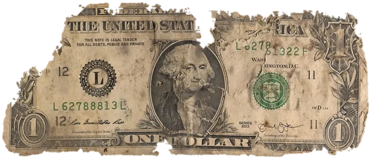 Decayed $1 bill, specimen FF-L62788813L, serial L62788813L, dirt / soil 20%, water staining 8%, black mold 7%, material loss 25%