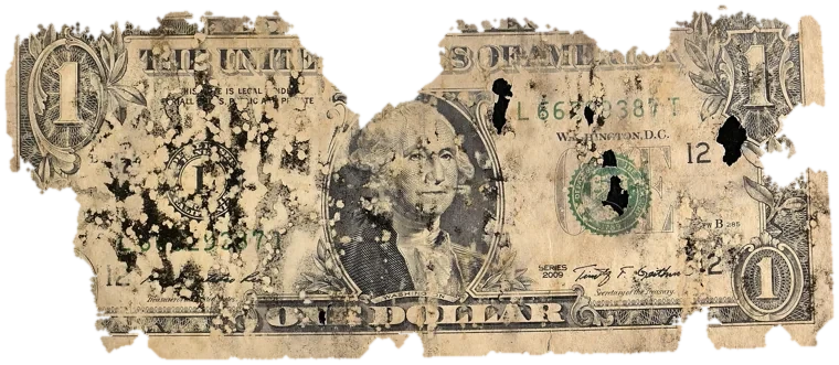 Decayed $1 bill, specimen FF-L66229387T, serial L66229387T, water staining 30%, black mold 20%, dirt / soil 12%, material loss 26%