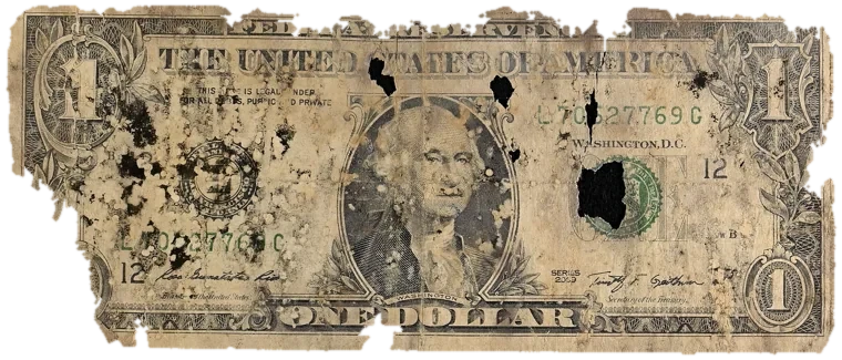 Decayed $1 bill, specimen FF-L70527769G, serial L70527769G, water staining 30%, black mold 28%, dirt / soil 16%, material loss 20%