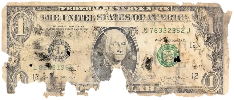 Decayed $1 bill, specimen FF-L76322362J, serial L76322362J, water staining 17%, black mold 14%, dirt / soil 9%, material loss 18%