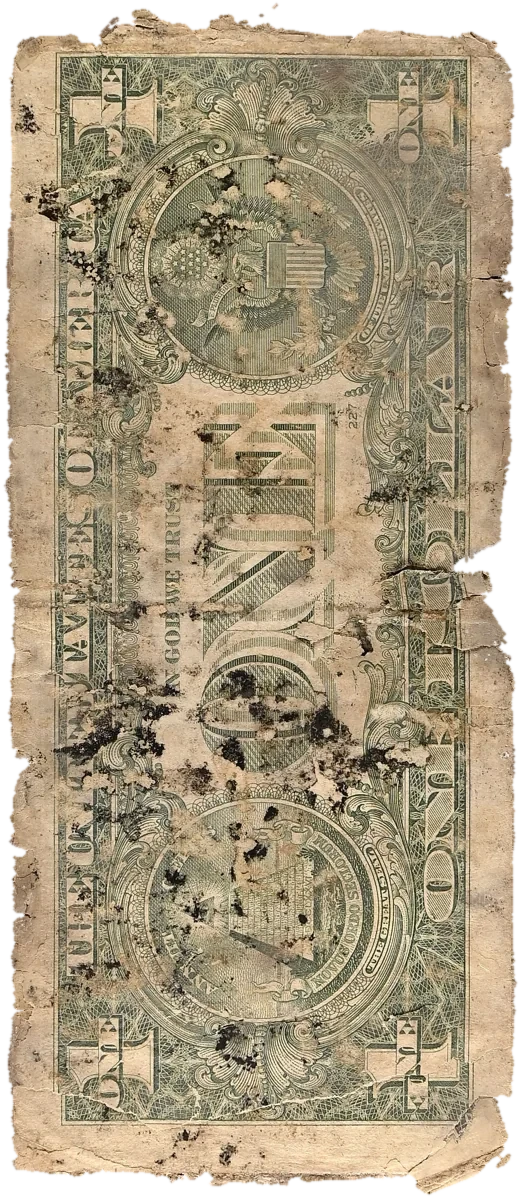 Reverse of specimen FF-UNK020: the Great Seal of the United States, the unfinished pyramid and the eagle, darkened by mold and groundwater staining
