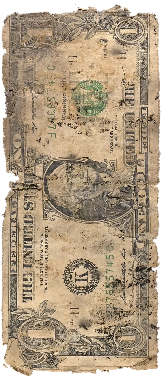 Front of specimen FF-UNK020, the most ruined $1 bill in the Filthy Fiat collection: Series 2009, its serial digested by two years underground, black mold bloom, dark water staining and heavy material loss at the edges