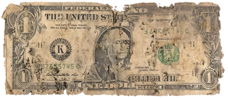 Decayed $1 bill, specimen FF-UNK020, serial lost, dirt / soil 17%, black mold 15%, water staining 12%, material loss 14%