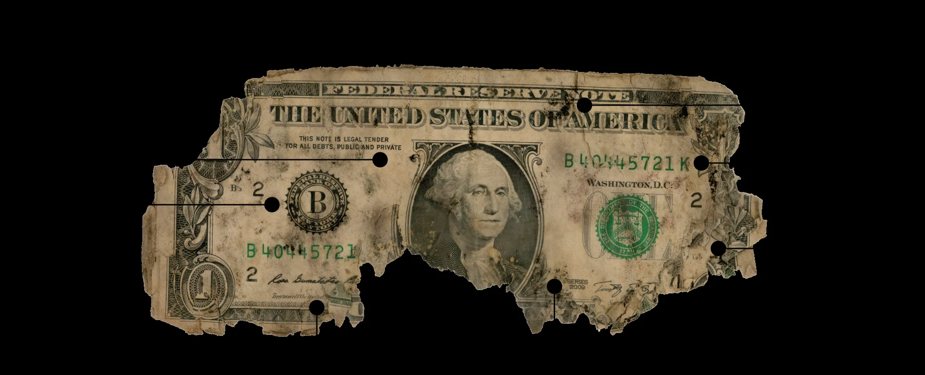 The Anatomy of Filthy Fiat: a decayed one-dollar bill labeled with paper tears from extraction, staining from dirt and moisture, regional bank location across 12 districts, front and back artifacts, series date, black mold from two years buried, serial number, and multi-bill overlay