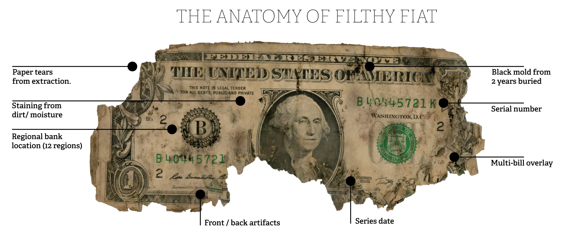 The Anatomy of Filthy Fiat: a decayed one-dollar bill labelled with paper tears from extraction, staining from dirt and moisture, regional bank location across 12 regions, front and back artifacts, series date, black mold from 2 years buried, the serial number, and multi-bill overlay