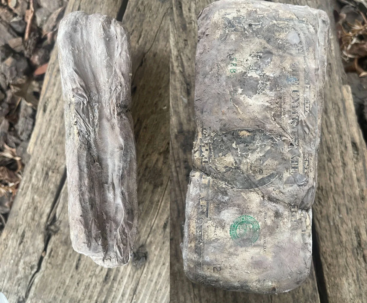 The exhumed brick of 200 one-dollar bills fused solid by two years of mold and moisture, one washed-out portrait and green Treasury seal still visible on the outer bill